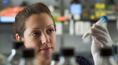 researcher looks at test tube