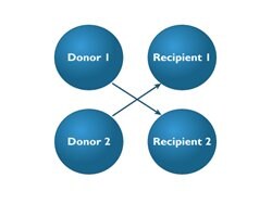 A graphic showing the relationship between donors 1 and 2 and recipients 1 and 2